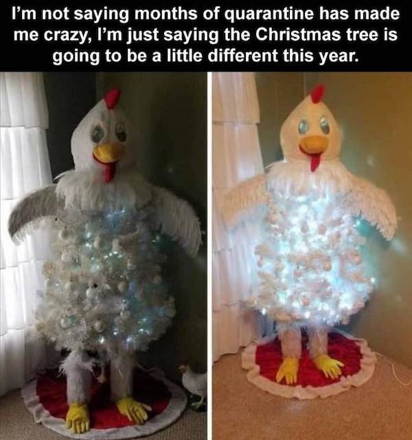play - I'm not saying months of quarantine has made me crazy, I'm just saying the Christmas tree is going to be a little different this year.