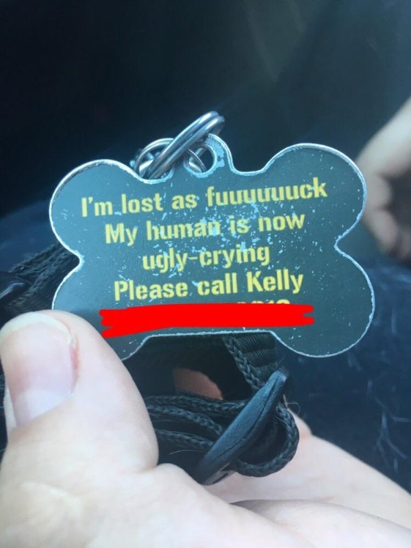 label - I'm lost as fuuuuuuck My human is now uglytrying Please call Kelly