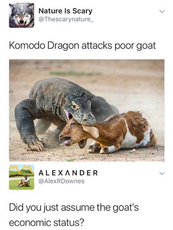 harder daddy - Nature Is Scary Komodo Dragon attacks poor goat Alexander Did you just assume the goat's economic status?