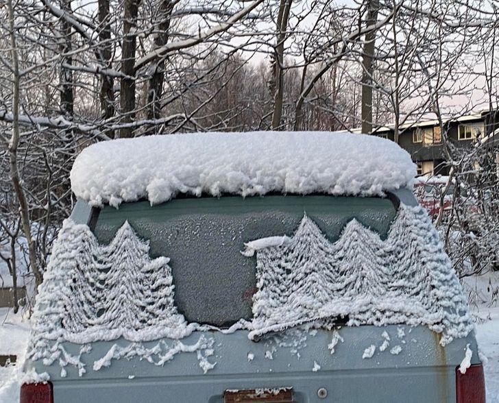 “How the snow melted from the sun and made it look like there were little frosted pine trees on my car”