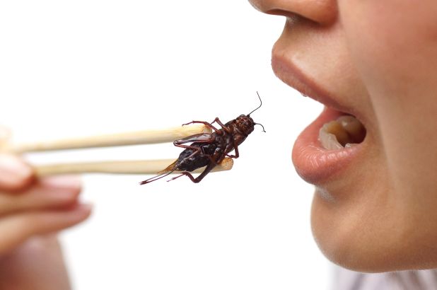 Watching children in Mexico happily eating crickets like they were popcorn.
Also, 4 or 5 year old kids out at 10pm to sell gum.