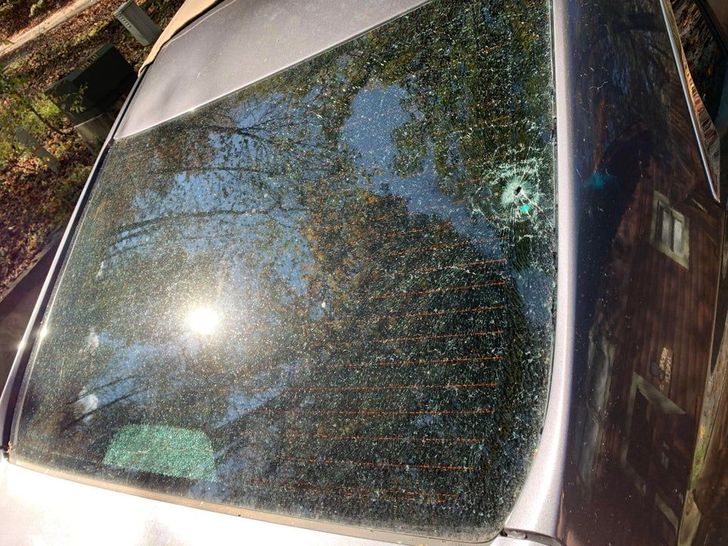 “On vacation in a remote cabin, and an acorn fell down from a very tall tree and completely shattered my back windshield.”