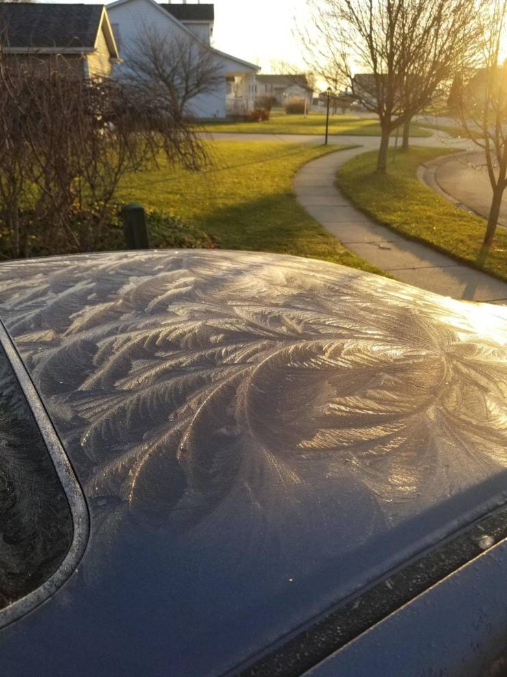 “Frost on the Car this Morning.”