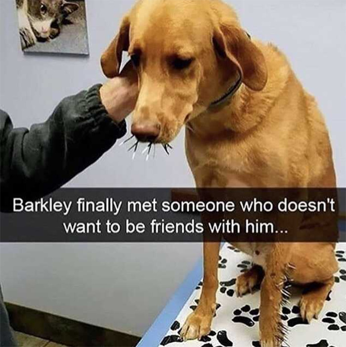 Barkley finally met someone who doesn't want to be friends with him...