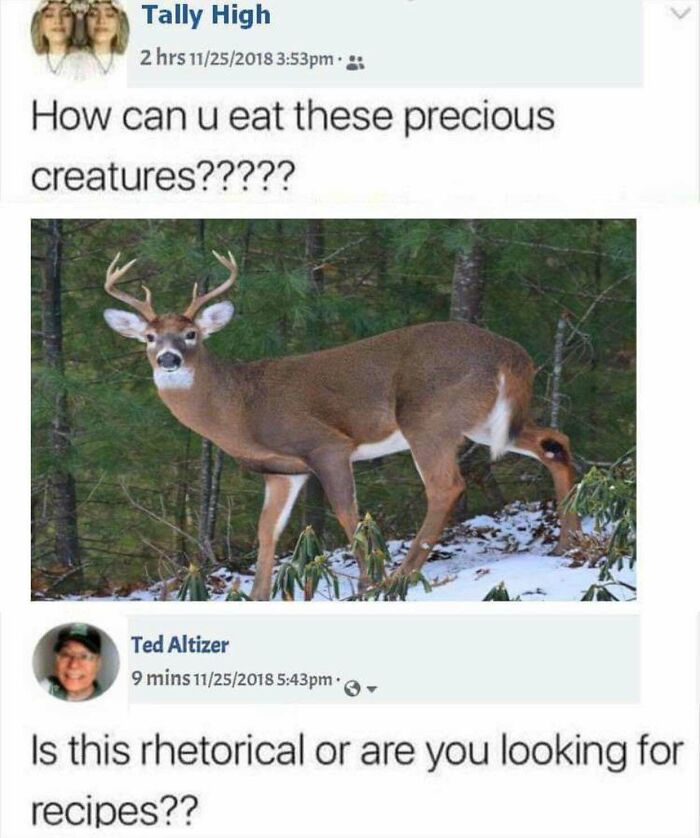 rhetorical question funny - Tally High 2 hrs 11252018 pm How can u eat these precious creatures????? Ted Altizer 9 mins 11252018 pm. Is this rhetorical or are you looking for recipes??