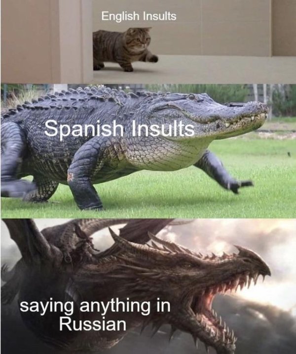 fauna - English Insults Spanish Insults saying anything in Russian