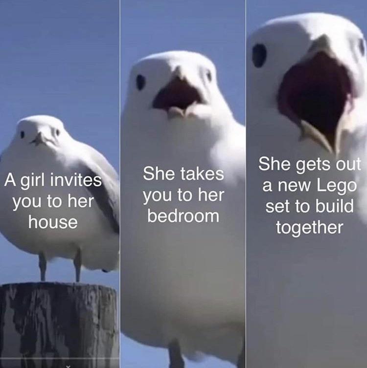 girl invites you to her house meme - A girl invites you to her house She takes you to her bedroom She gets out a new Lego set to build together