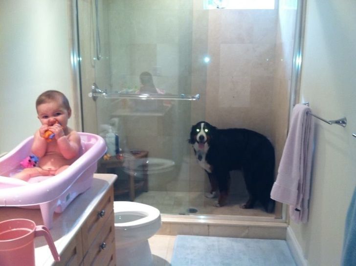 “So, my wife sings the same song for our daughter’s bath time as we used to sing for our dog’s showers. And this is what happens every time.”