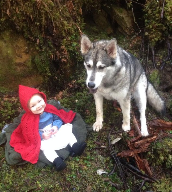 “Here is my niece and dog paired together as Little Red Riding Hood and the Big Bad Wolf.”