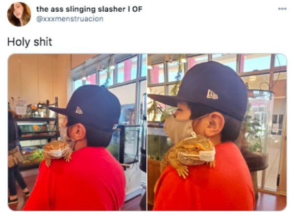 cap - the ass slinging slasher I Of Holy shit