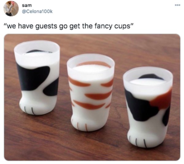 cat paw glasses - sam "we have guests go get the fancy cups" Od