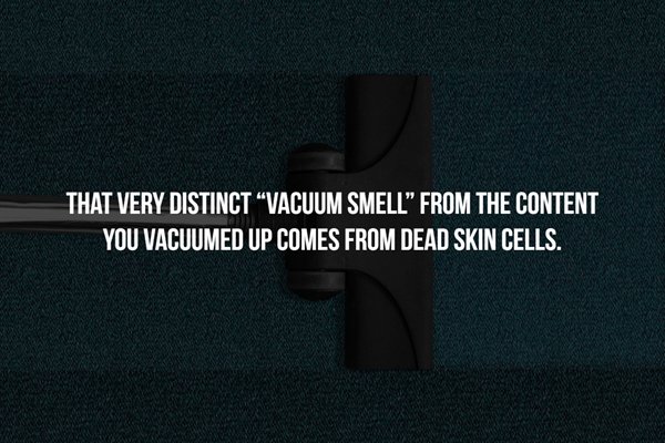 boo squad - That Very Distinct Vacuum Smell From The Content You Vacuumed Up Comes From Dead Skin Cells.