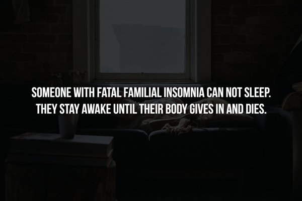 light - Someone With Fatal Familial Insomnia Can Not Sleep. They Stay Awake Until Their Body Gives In And Dies.