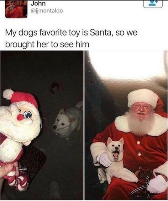 christmas memes - John My dogs favorite toy is Santa, so we brought her to see him