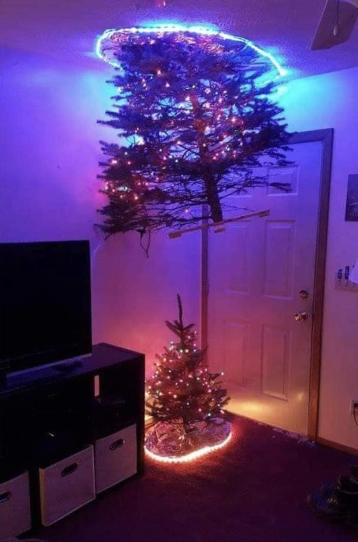 funny random photos - multi dimensional christmas tree