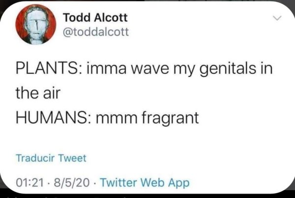 paper - Todd Alcott Plants imma wave my genitals in the air Humans mmm fragrant Traducir Tweet . 8520 Twitter Web App