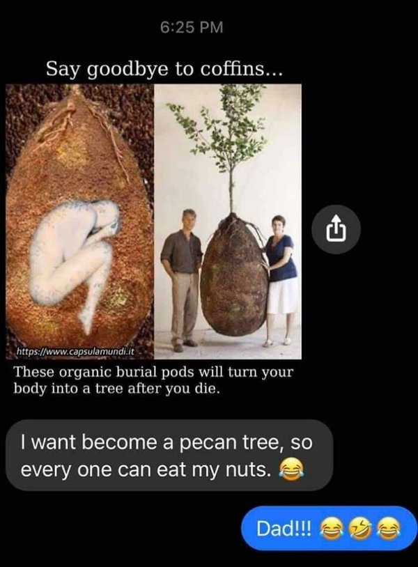 say goodbye to coffins and become a tree - Say goodbye to coffins... These organic burial pods will turn your body into a tree after you die. I want become a pecan tree, so every one can eat my nuts. Dad!!!