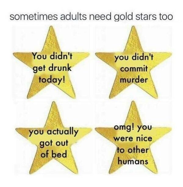 sometimes adults need gold stars too - sometimes adults need gold stars too You didn't you didn't get drunk commit today! murder omg! you you actually got out of bed were nice to other humans