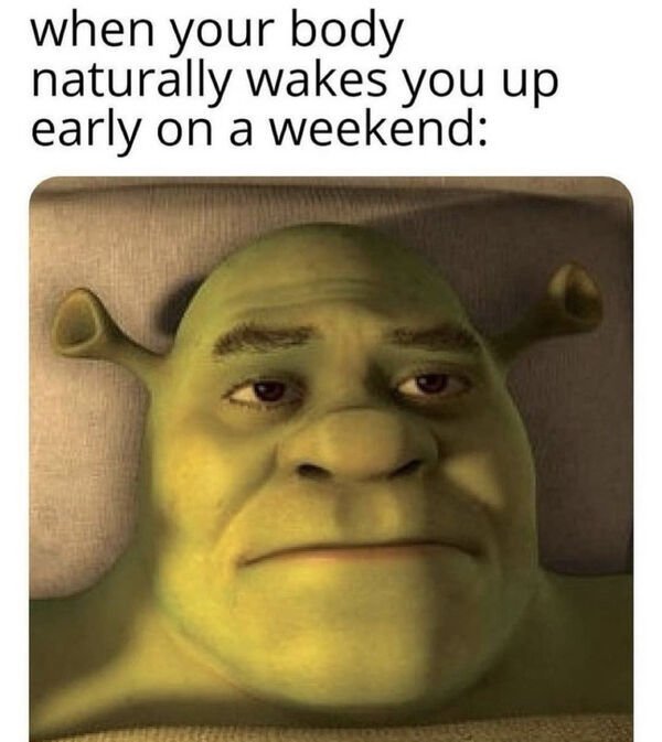 shrek forever after - when your body naturally wakes you up early on a weekend