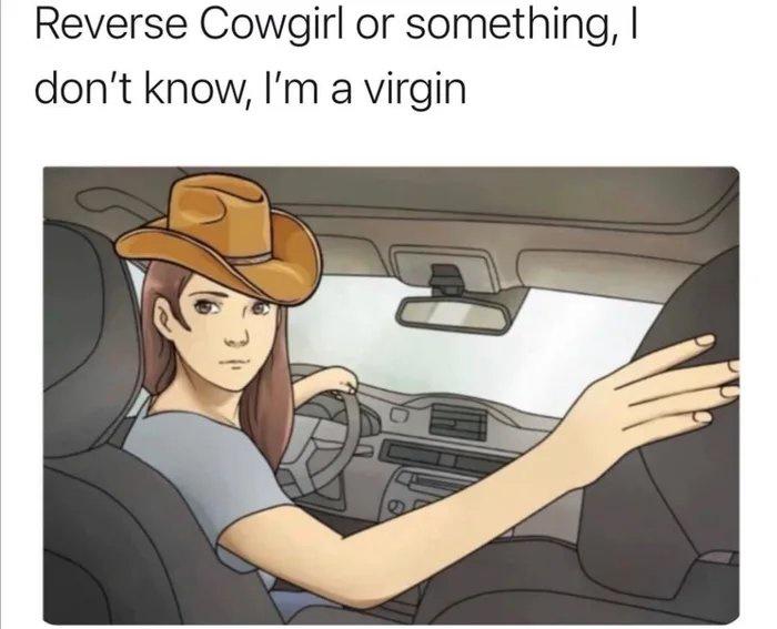 cartoon - Reverse Cowgirl or something, don't know, I'm a virgin