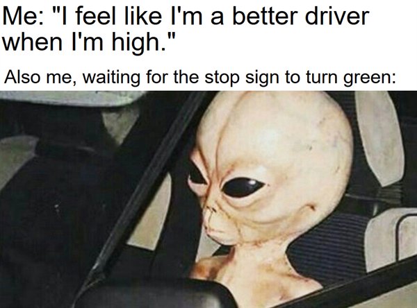 stoned alien meme - Me "I feel I'm a better driver when I'm high." Also me, waiting for the stop sign to turn green