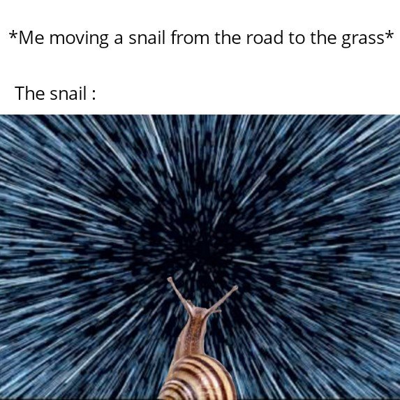 Internet meme - Me moving a snail from the road to the grass The snail