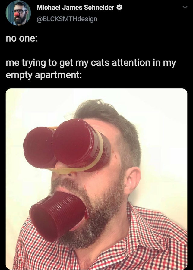 ear - Michael James Schneider no one me trying to get my cats attention in my empty apartment