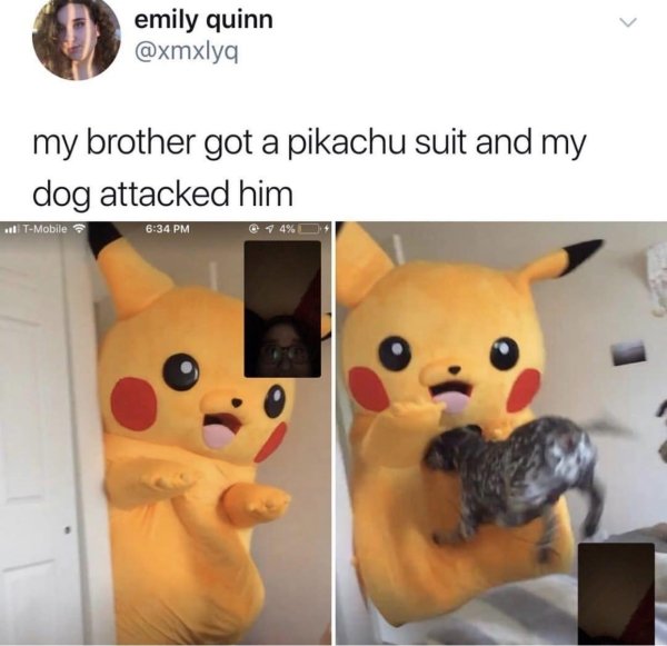 my brother got a pikachu suit - emily quinn my brother got a pikachu suit and my dog attacked him .. TMobile @ 74%