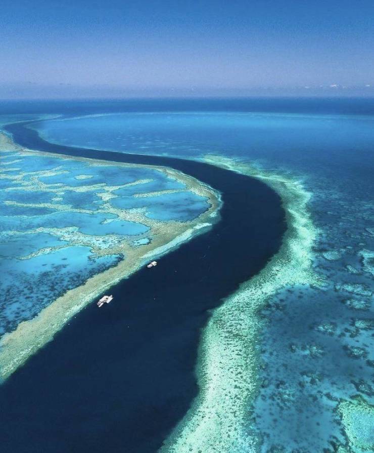 “The Great Barrier Reef, Australia.”