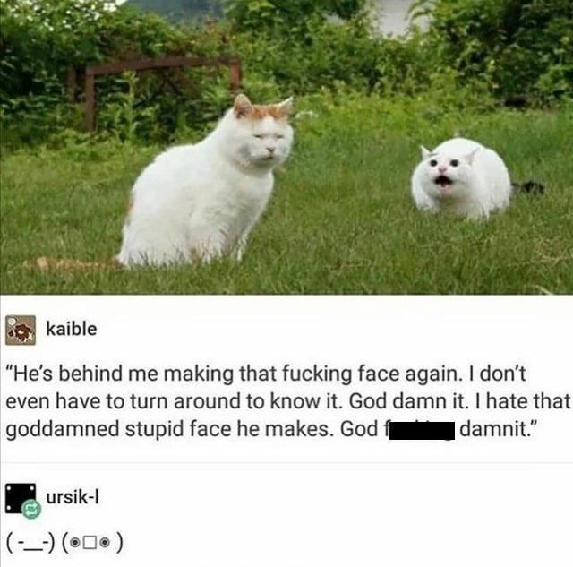 hes making that face again isnt he - kaible He's behind me making that fucking face again. I don't even have to turn around to know it. God damn it. I hate that goddamned stupid face he makes. God | damnit." ursik1 0