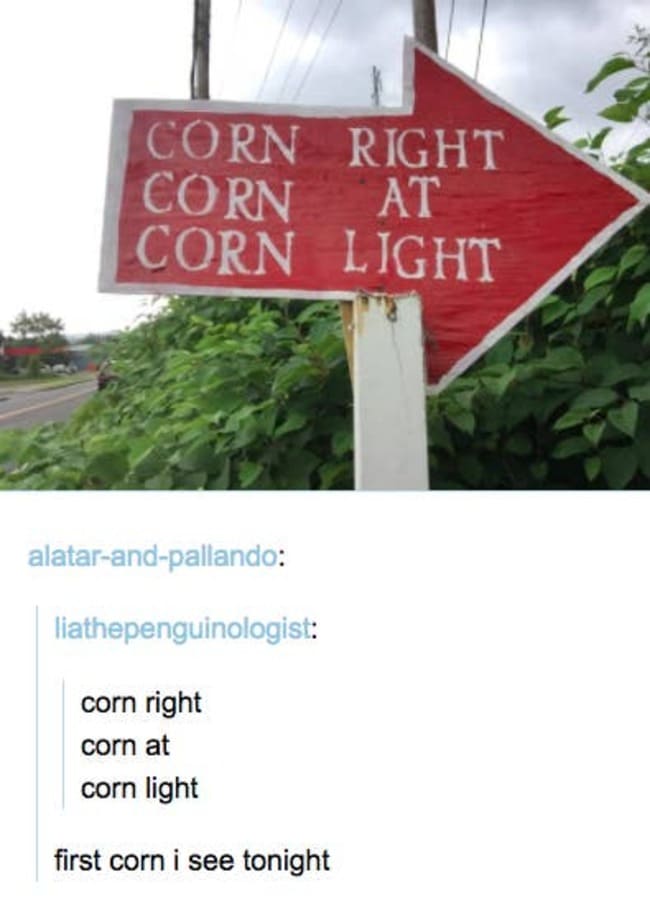 first corn i see tonight - Corn Right Corn At Corn Light alatarandpallando liathepenguinologist corn right corn at corn light first corn i see tonight