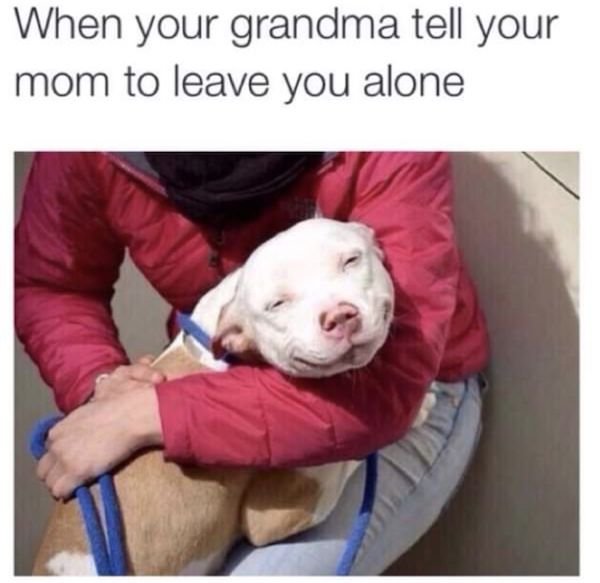 memes for your grandma - When your grandma tell your mom to leave you alone