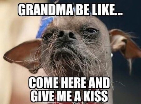 mexican beard meme - Grandma Be ... Come Here And Give Me A Kiss