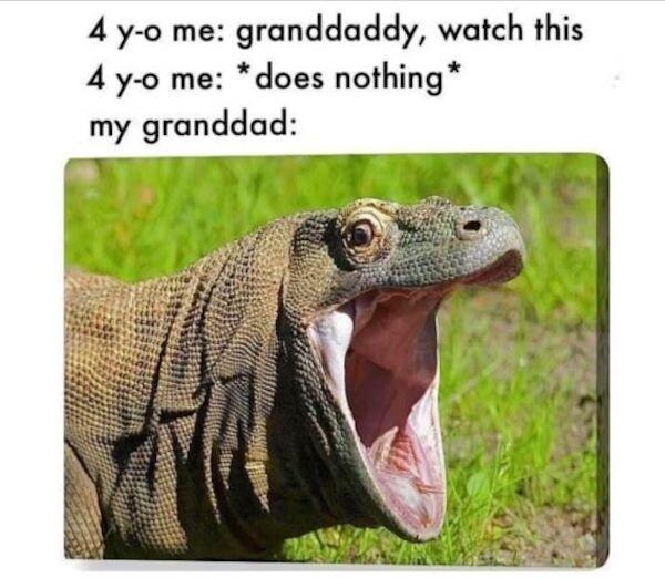 komodohype original - 4 yo me granddaddy, watch this 4 yo me does nothing my granddad