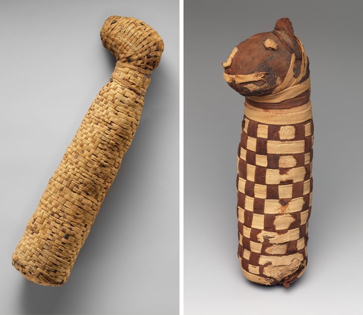 fascinating photos -  egyptian dog mummy