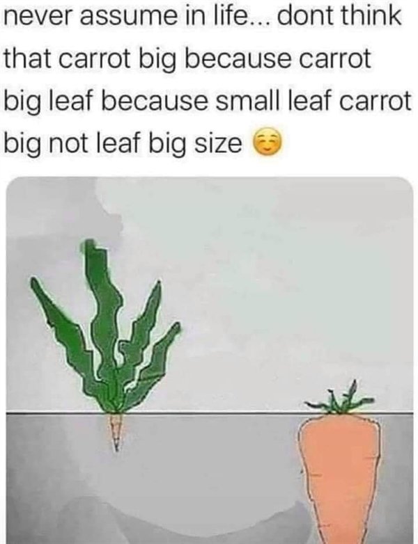 don t think that carrot big - never assume in life... dont think that carrot big because carrot big leaf because small leaf carrot big not leaf big size