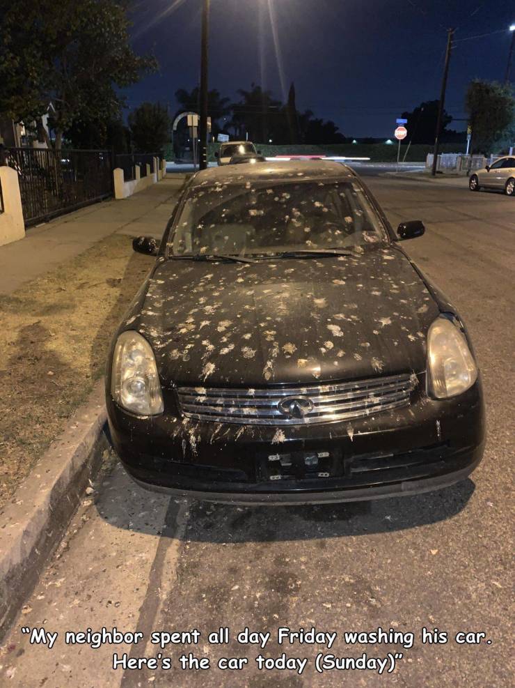 bumper - "My neighbor spent all day Friday washing his car. Here's the car today Sunday"