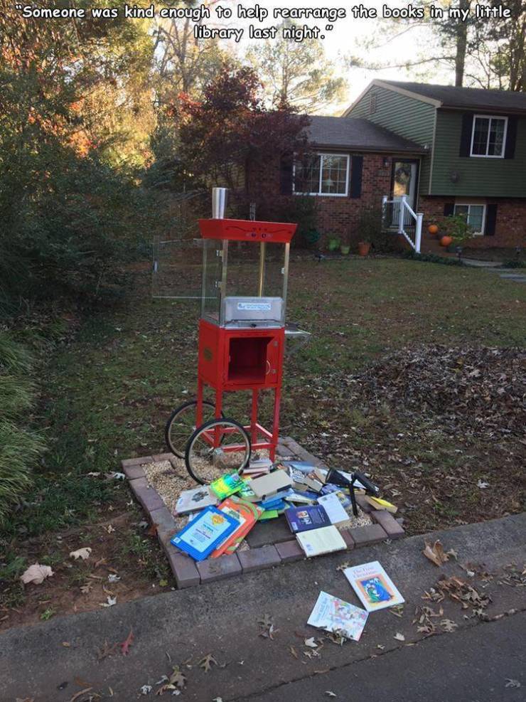 tree - "Someone was kind enough to help rearrange the books in my little library last night. Te