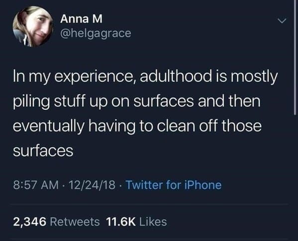 Anna M In my experience, adulthood is mostly piling stuff up on surfaces and then eventually having to clean off those surfaces 122418 Twitter for iPhone 2,346