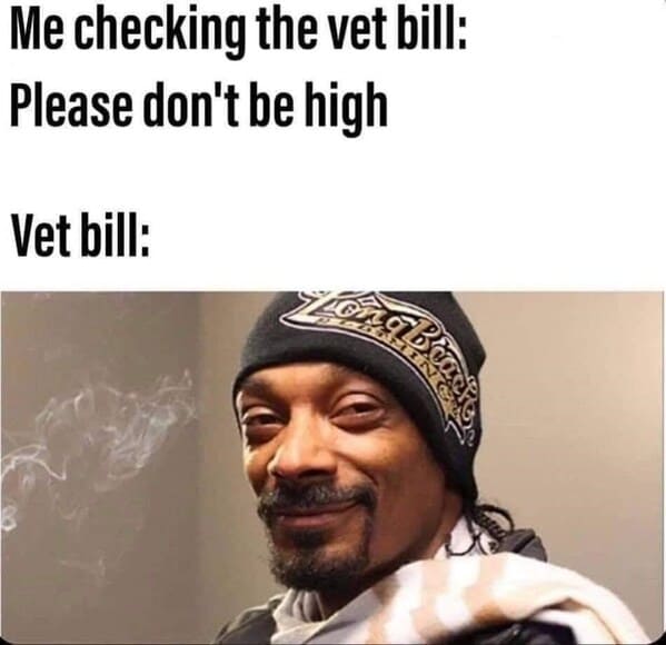 snoop dog vet bill meme - Me checking the vet bill Please don't be high Vet bill