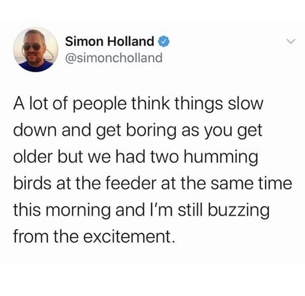 panic at the disco text posts - Simon Holland A lot of people think things slow down and get boring as you get older but we had two humming birds at the feeder at the same time this morning and I'm still buzzing from the excitement.