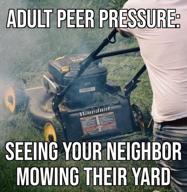 adult peer pressure seeing your neighbor - Adult Peer Pressure Manshed Seeing Your Neighbor Mowing Their Yard