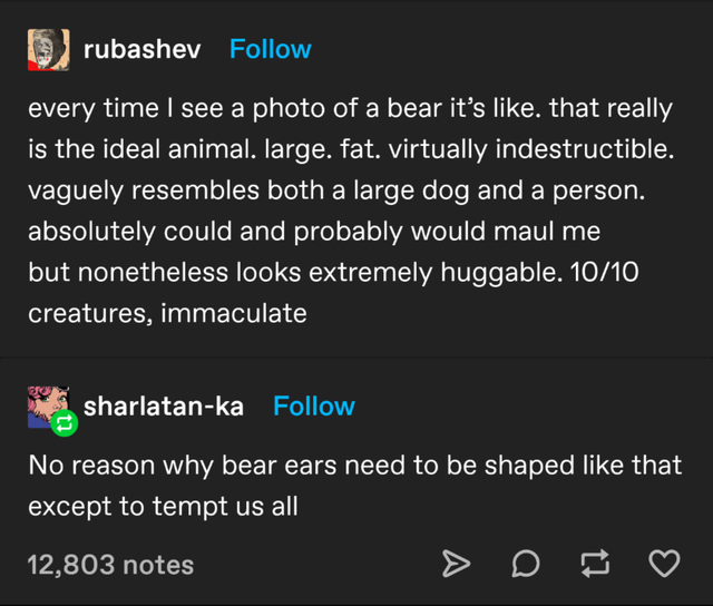 screenshot - rubashev every time I see a photo of a bear it's . that really is the ideal animal. large. fat. virtually indestructible. vaguely resembles both a large dog and a person. absolutely could and probably would maul me but nonetheless looks extre