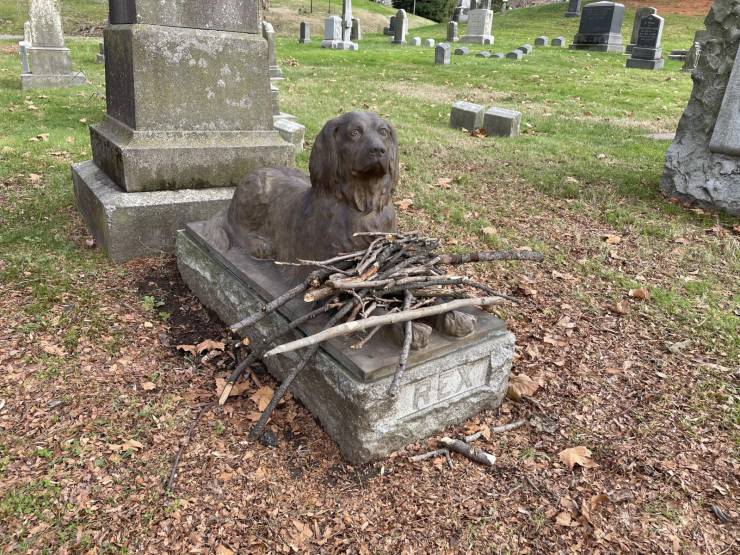 “Instead of flowers, people bring sticks to this dog’s grave.”