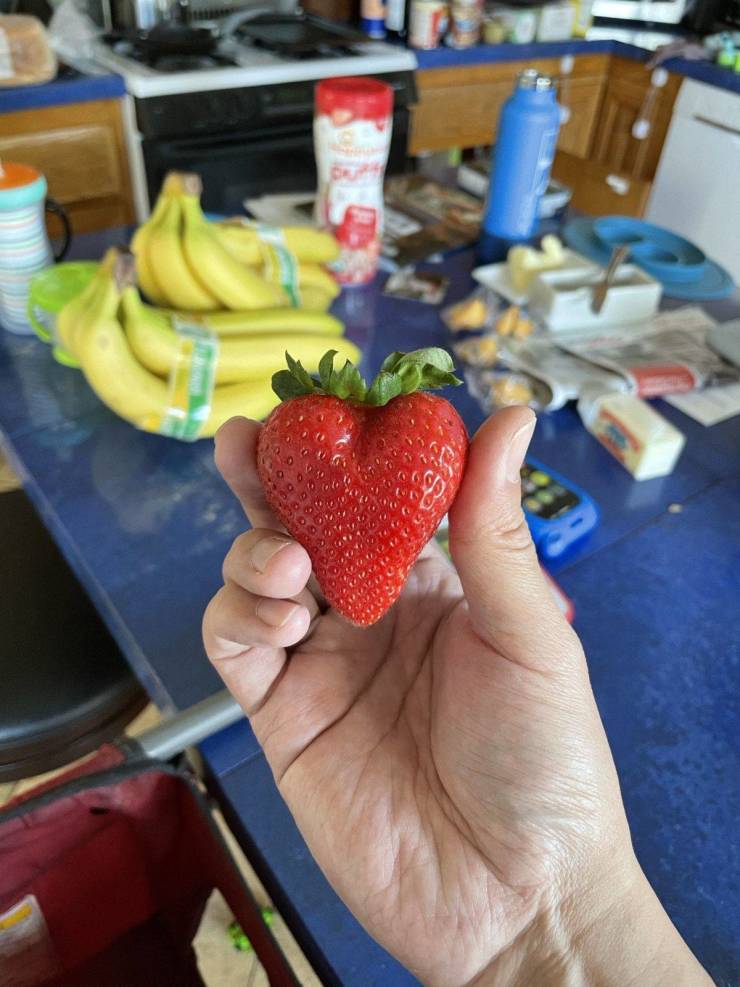 “This strawberry that's a perfect heart shape.”