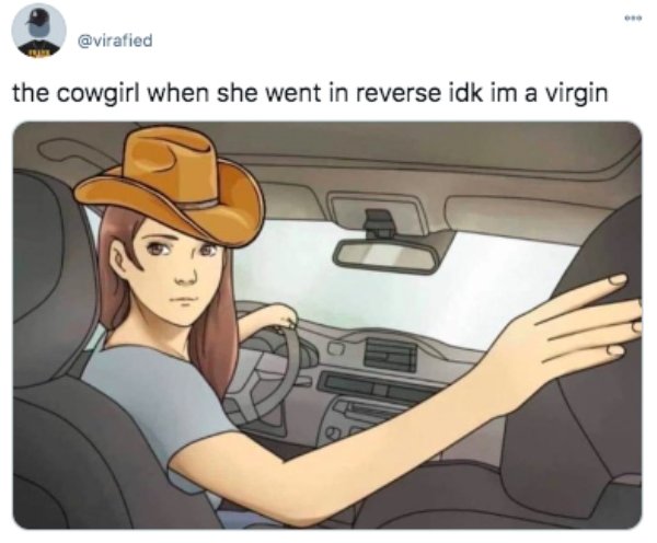 Ima Virgin - the cowgirl when she went in reverse idk im a virgin