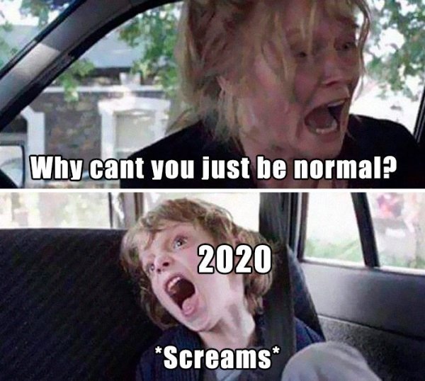 38 Memes to Describe the Suck of 2020