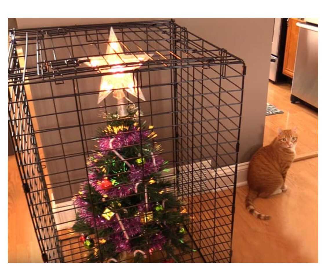 cat safe christmas tree - Wat Pan
