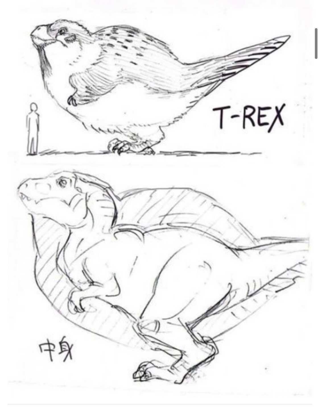 bird t rex - TRex