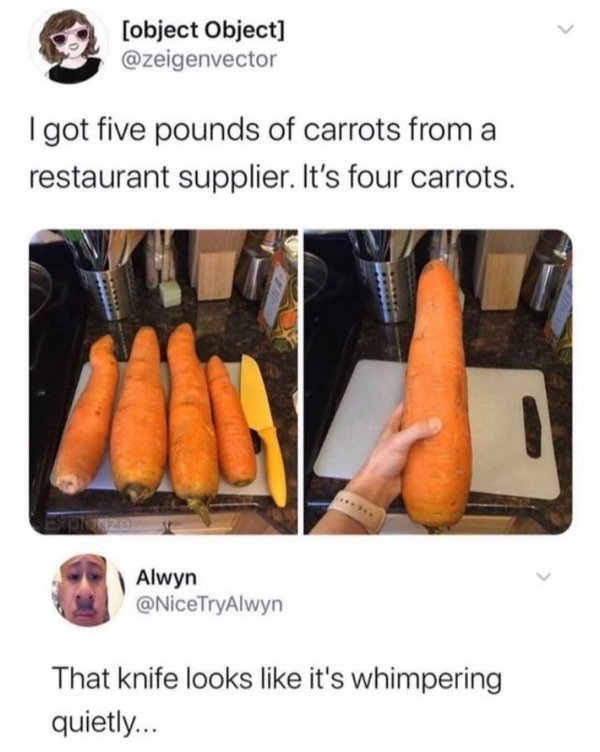 carrot as dildo meme - object Object I got five pounds of carrots from a restaurant supplier. It's four carrots. Alwyn That knife looks it's whimpering quietly...